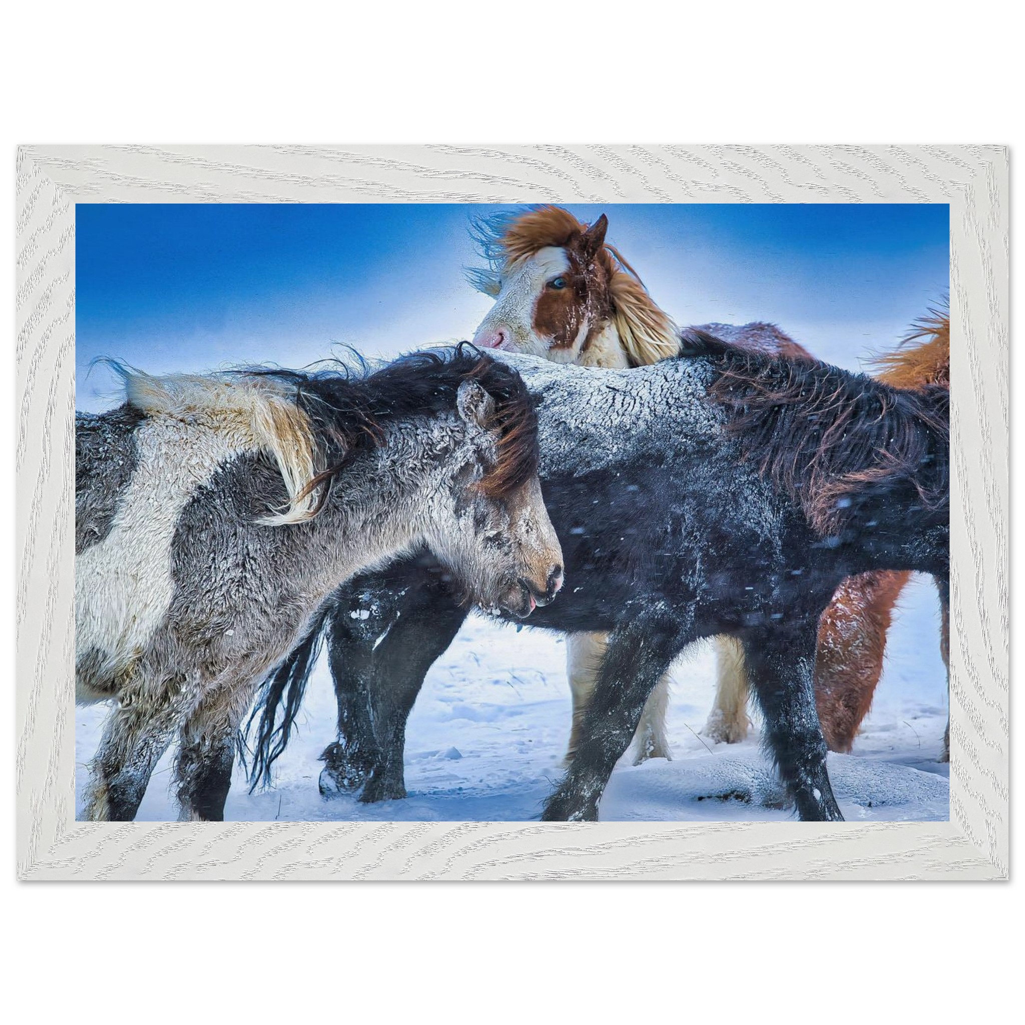 f21e6ccf-945b-42c8-95b1-1b75293cf7cb