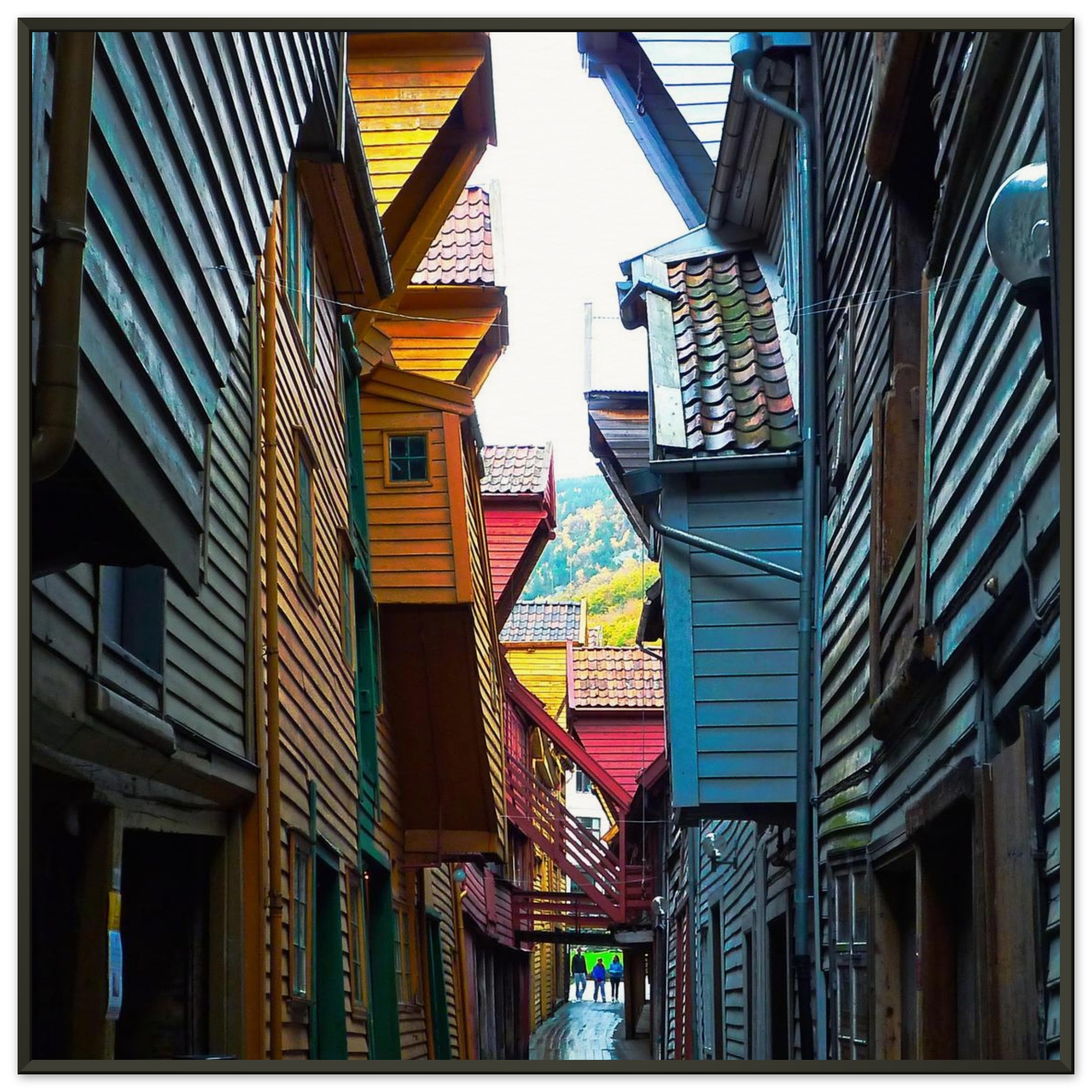 f8e05d79-bb09-4e4d-a007-2042be30d15f