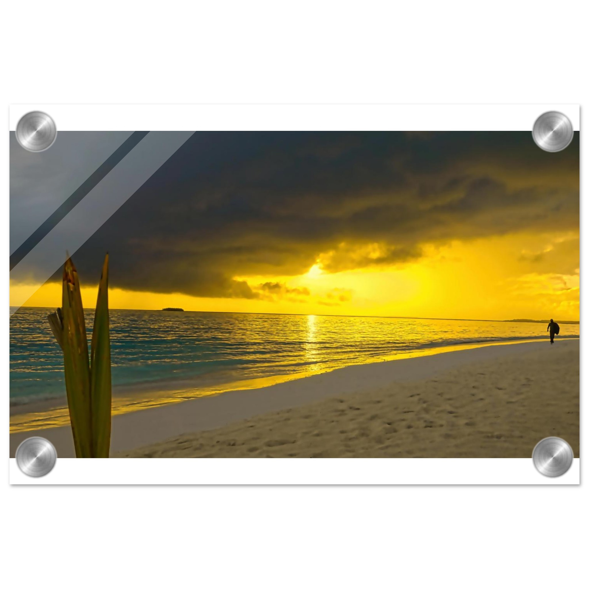 fdec3dfc-2661-40df-892a-16eabd97e30b