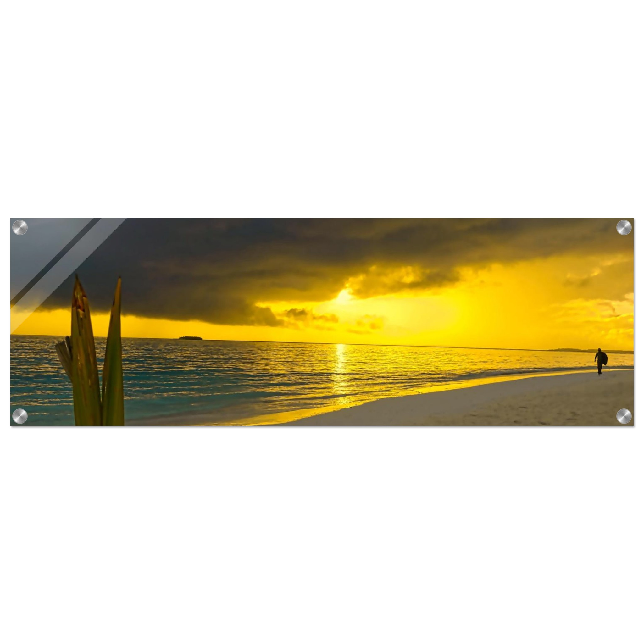 fefa7169-e1a6-4862-8abc-8d3b6058a169