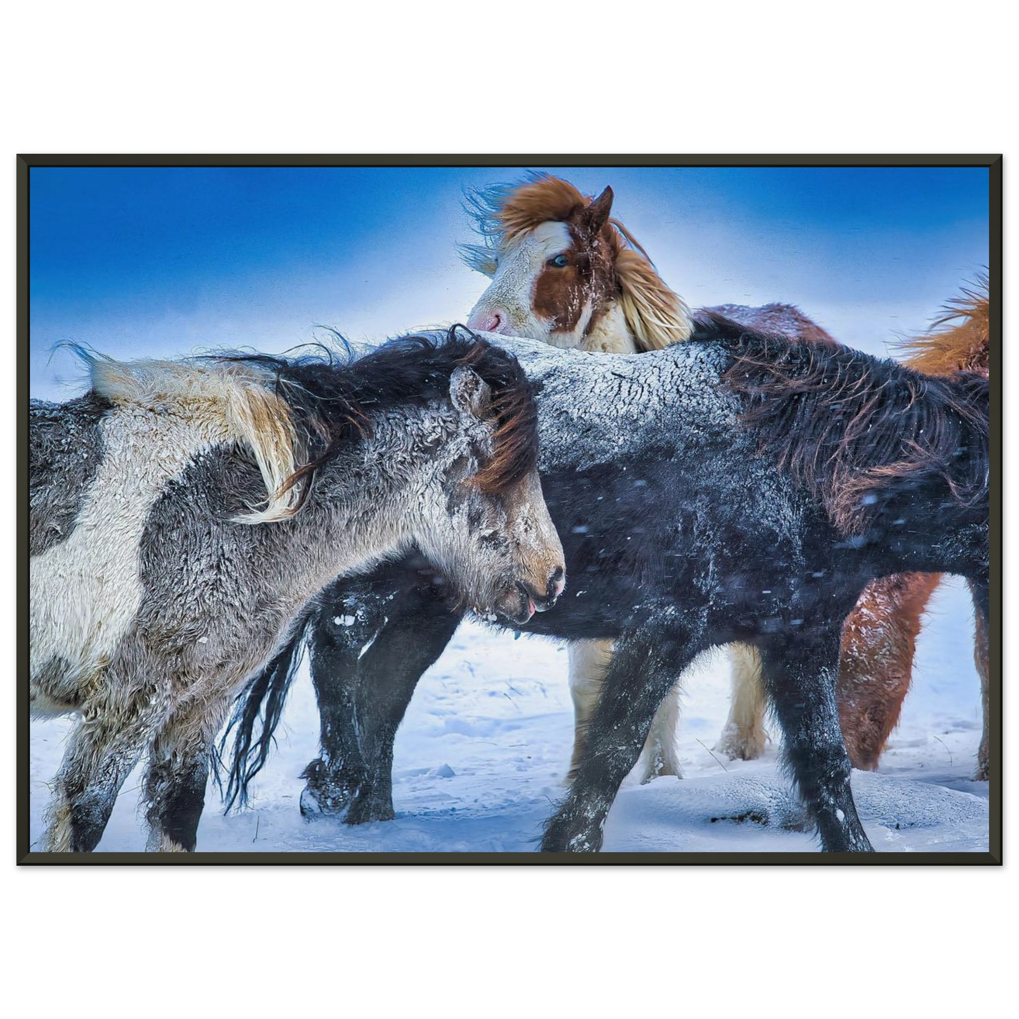 fffe69f0-902c-48c4-9bcb-8377cb569d2b